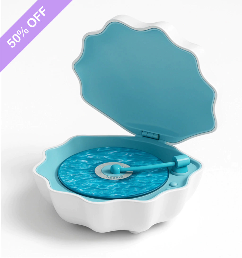 Shell Lamp | ¡El océano en tu hogar!